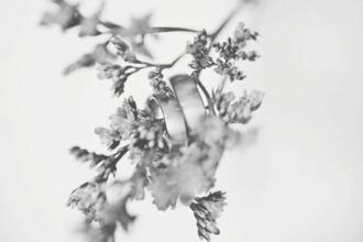 Hochzeitsfotografie | C. Schroers | Fotografin in Leipzig/Halle